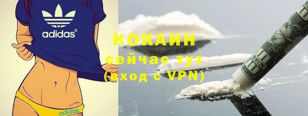гидра Лагань