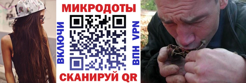 закладки Электросталь Псилоцибиновые грибы мицелий